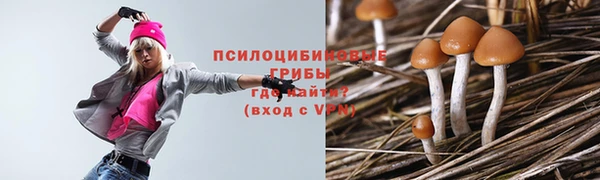 бутират Алзамай