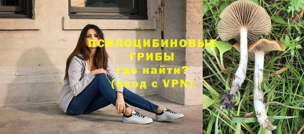 кокс Алексин