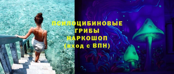 кокс Алексин